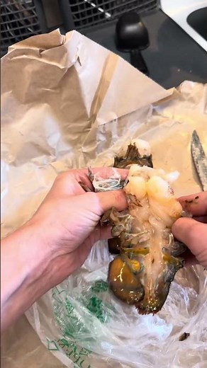 This knife technique makes lobster prep look easy #cooking #technique #seafood