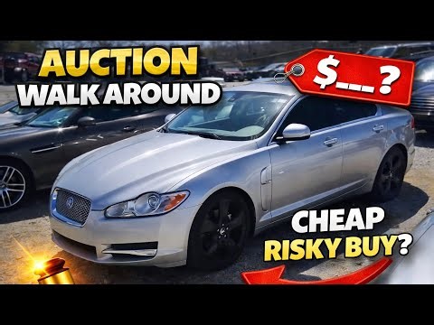 Dealer auction walk around | Ep 8