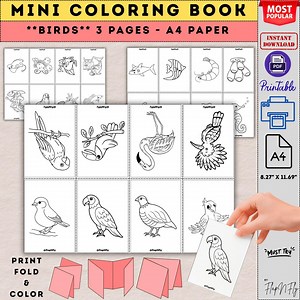 Birds Mini Coloring Book: Printable A4 Activity Book for Kids (PDF Download) - Etsy