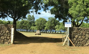 Mark Zuckerberg Kauai Property [Map & Facts]