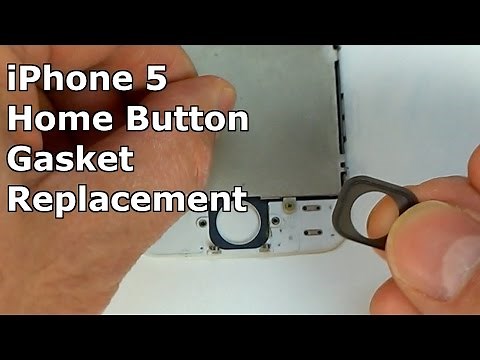 iPhone 5 Home Button Gasket Replacement