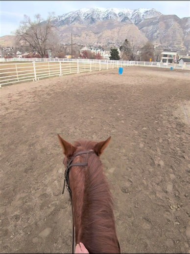 Barrel Racing Lessons at Nine Lives Equestrian