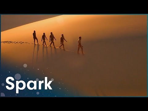 How Did Humans Become Earth's Dominant Species? [4K] | Evolution Of Us | Spark