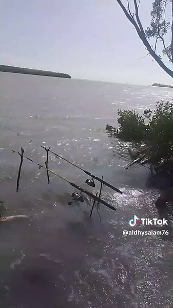 Mancing Ikan Gulama dan Terapung Sendiri