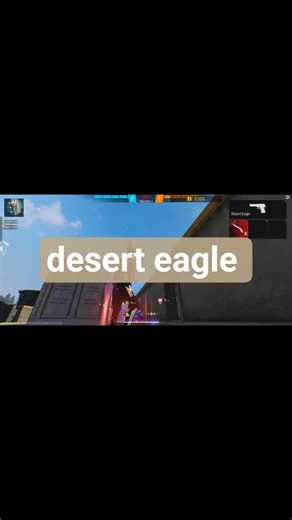 1VS4 custom desert eagle
