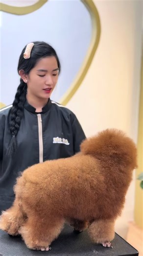 Thực hành cắt lông thú cưng tại Béo Academy