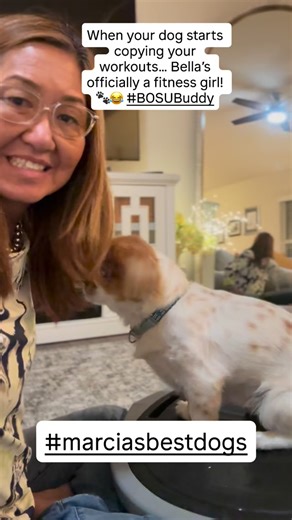 When your dog starts copying your workouts… Bella’s officially a fitness girl!  #BOSUBuddy #marciasbestdogs #dogsofinstagram | Marcia Martin | Facebook