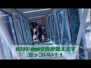 鳥取空港から離陸！ANAウィングスの飛行機で出発！機内放送•機内案内が丁寧♪【ひつじのハッピー】【鳥取•山陰•中国地方】
