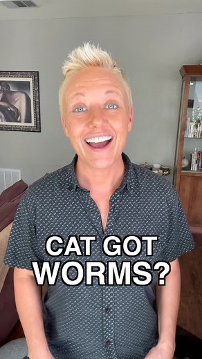 Best Practices for Deworming Your Cat