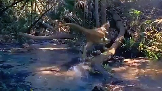 Dinosaur (2000) HQ trailer