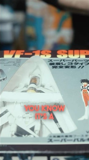 A Very Rare Macross + Robotech Collection!