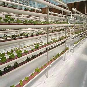 [Hot Item] Good Price High-Yield Nft Pipe Growing Vertical Soilless Hydroponics System for Cultivation
