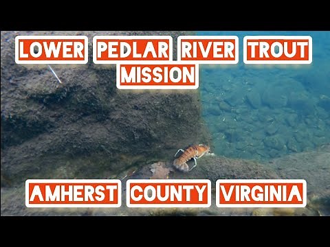Lower Pedlar River in Amherst County, Virginia : Epic Brown & Rainbow Trout Catch & Release Mission
