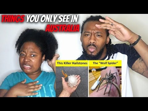 AUSTRALIA, WE LOVE YOU, BUT ... | American Couple Reacts "Things You Can Only See In Australia 🇦🇺"