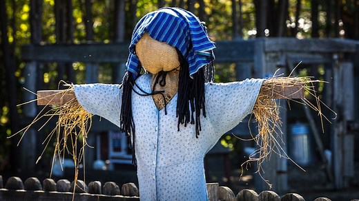 How to make the best DIY scarecrow, according to our expert