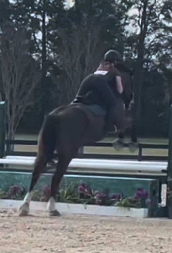 Maggie's Outstanding Day at Equestrian Schooling