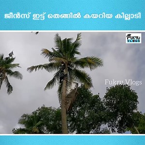 32K views · 2K reactions | watch full video : https://youtu.be/MZ3b0dPvHPA #fukru | Fukru | Facebook