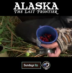 Wild Alaskan berries, yum! Jane Kilcher and Atz lee Kilcher, tell us how good those berries were 😋 | Alaska: The Last Frontier