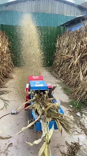 Maszyny do peletowania: Granulator paszowy, karmienie zwierząt