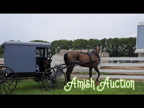 Let's go to an Amish Auction! - Let's Find Some Treasure