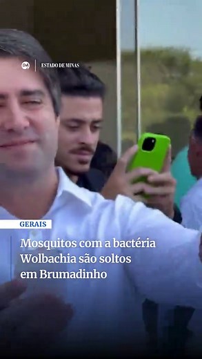 Mosquitos com Wolbachia: Combatendo a Dengue em Brumadinho