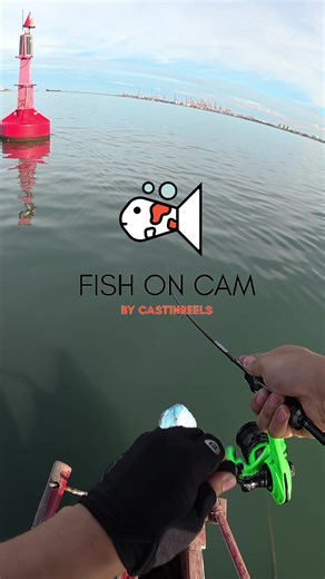 Exploring the Four-fingered Threadfin Fishing Experience