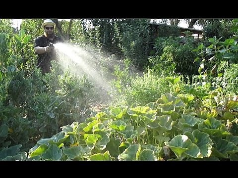 Brewing & Broadcasting a Large Batch of Homemade Compost Tea!