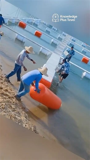 சீன மிதக்கும் மீன் பண்ணை | Floating Fish Farm Technology