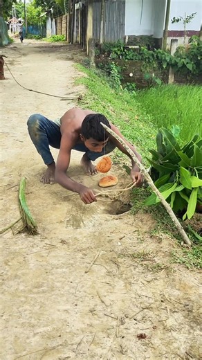 New technique for catching snakes | Jube Manning