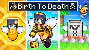 The BIRTH to DEATH of a Minecraft Bee!