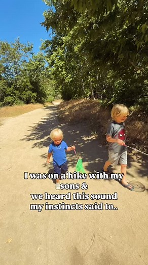 I’ve seen and heard many videos about the chirping sound that mountain lions make when they’re communicating with one another. This sound could’ve easily been a bird, or it could’ve been a mountain lion. Many have been spotted throughout the years in this area. I was on a trail with the boys and we didn’t see any other people around. To be safe, I picked my toddler, held my older son’s hand and we turned around while I was making loud noises and frequently checking behind and around us. We decid