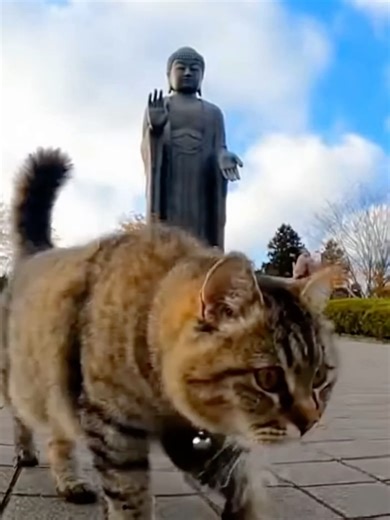 猫と巡る茨城の牛久大仏観光