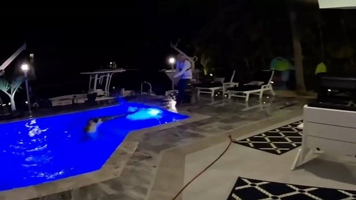 Viral Video: Rescuer Struggles to Pull 10-Foot Crocodile Out of Home’s Swimming Pool