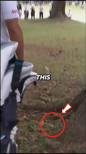 One Bad Shot Turned Into a Disaster 😞