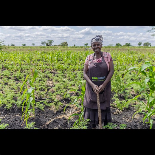 Protecting Farmers, Protecting Food: Insuring the Harvest in Kenya