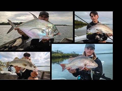 Fishing Sunshine Coast- Barramundi , Mangrove jack , Jewfish and Cale Cale Trevally. Noosa/Maroochy.