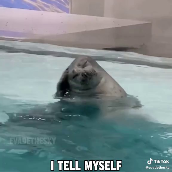 Gone Forever: Three Days Grace Seal Music Video