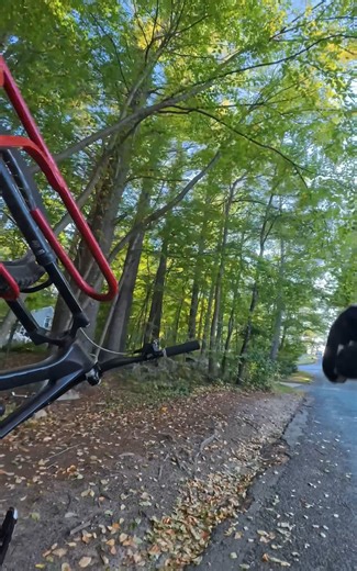 77K views · 277 reactions | Load up your bike rack in seconds with our easy loading system! Tim makes it looks so easy! Get your VelociRAX MAX here: https://www.velocirax.com/collections/hitch-bike-racks #velocirax #redracknation | Velocirax | Facebook