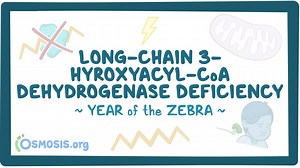 Long-chain 3-hydroxyacyl-CoA dehydrogenase deficiency: Video & Causes | Osmosis