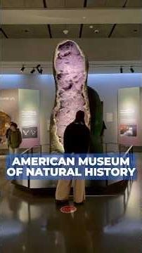 With a little help from Wikipedia, even the most unusual museums can become a Grade-A field trip.