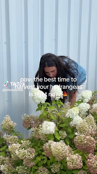 Element Design Build Remodel on TikTok