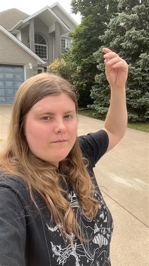 Calling upon my minions 🫴 #parrot #free | Bird Tails