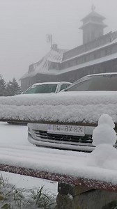 443K views · 4.3K reactions | What the first snow looked like in...