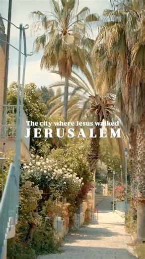 5.7K views · 262 reactions | Step into Jerusalem, the city where it...