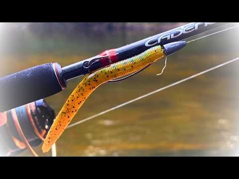 ULTRA Clear Low Water Fishing CHALLENGE [Texas vs Wacky rig]