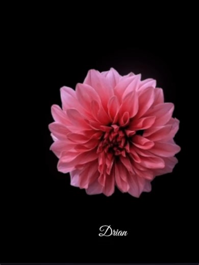 Freaky Friday Lyrics and Dance Challenge