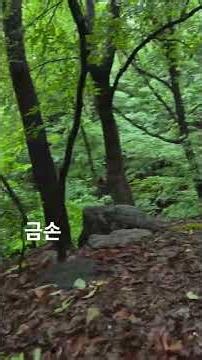 건산건행 2837 #등산 진정인가요 (임영웅) #백운산 비오날 풍경 함께해요 #랜선등산
