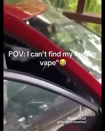 Reason why Safelite Exists