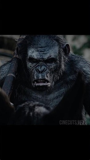 Planet of the Apes 1 - 2011 🎬🍿 / 4k / (original content /all false)