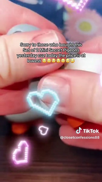 Set of 2 Mini Secret Pigeons